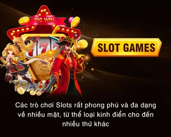 Hướng dẫn người mới chơi